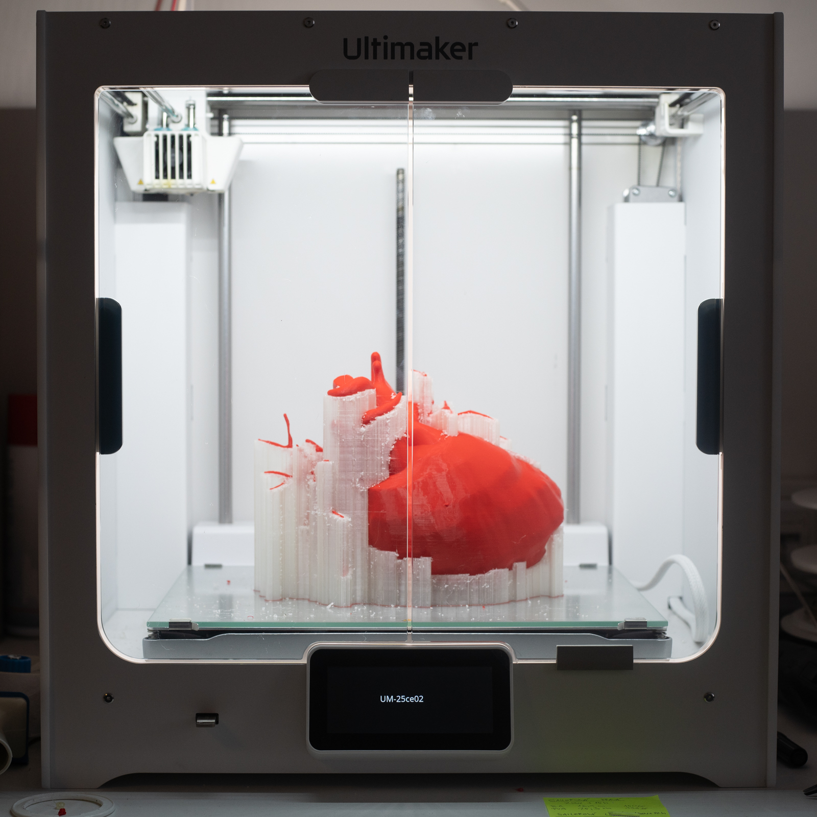 DSC03978-2.jpg DSC03978-2.jpg